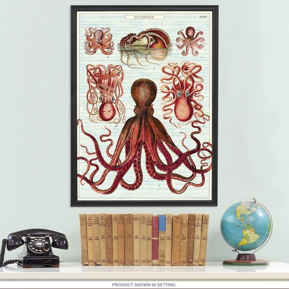 Cavallini & Co. Octopods Vintage Science Octopus Image Decorative Poster - NWT - Picture 3 of 7